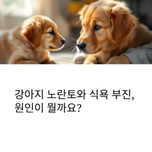 강아지-구토
