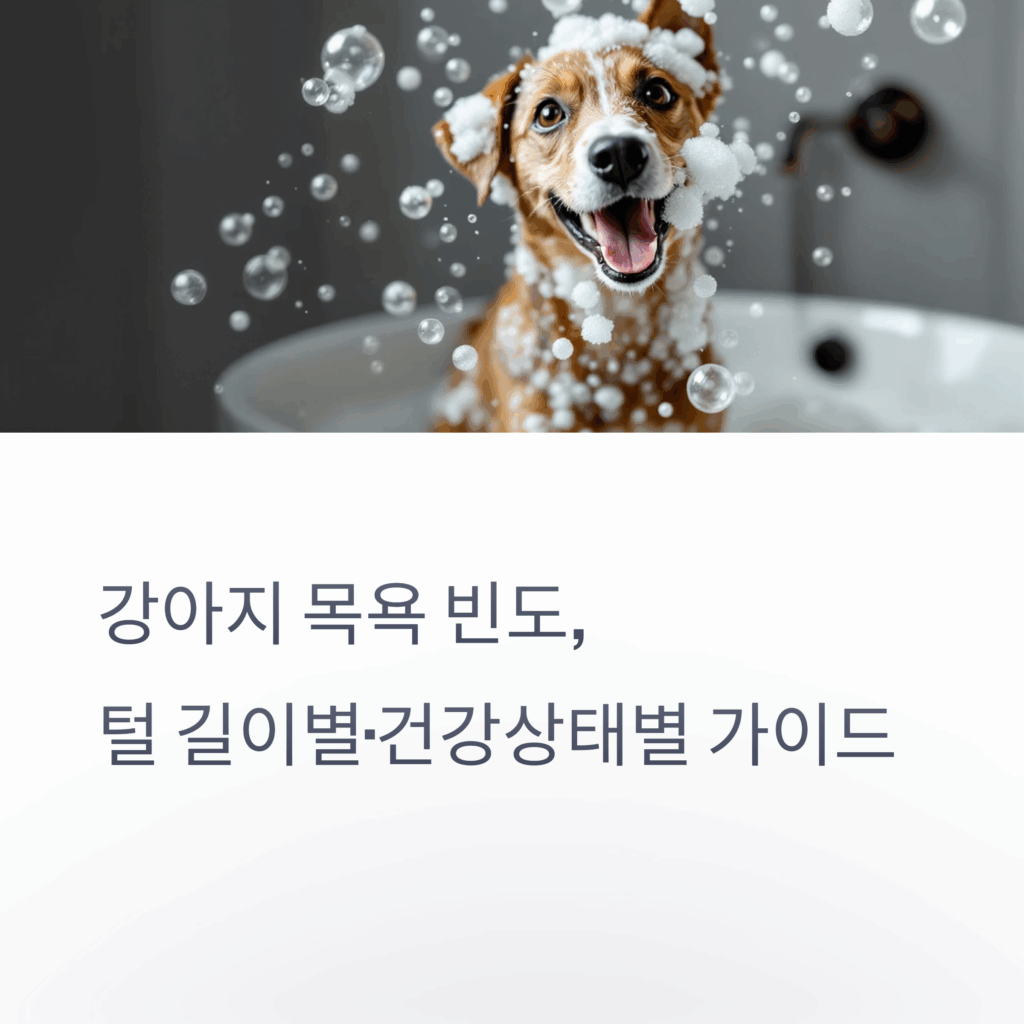 강아지-목욕