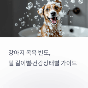 강아지-목욕