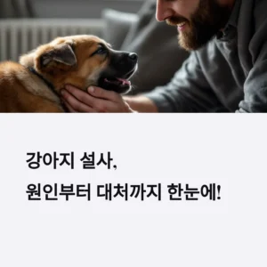 강아지-설사-장염