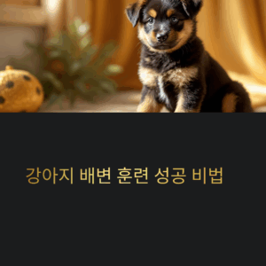 강아지 배변훈련