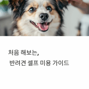 반려견-셀프미용