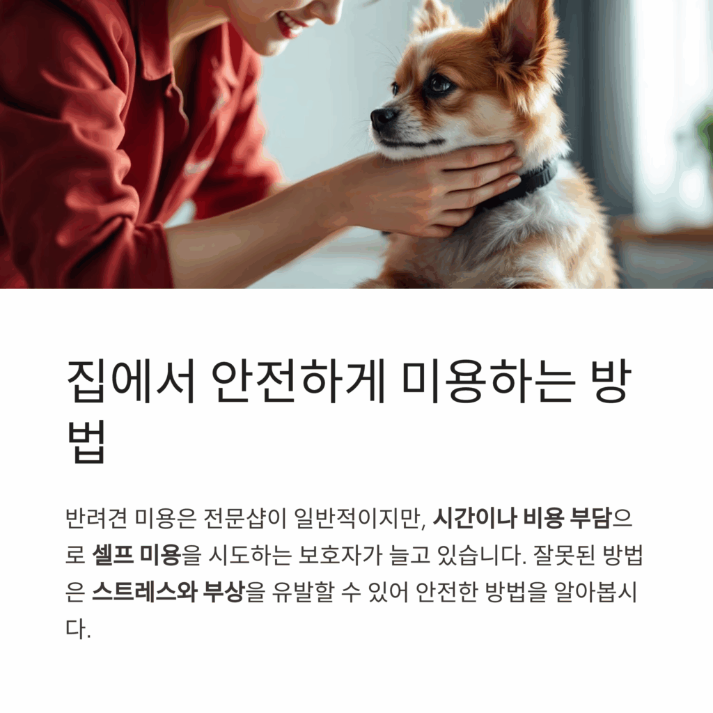 반려견-셀프미용