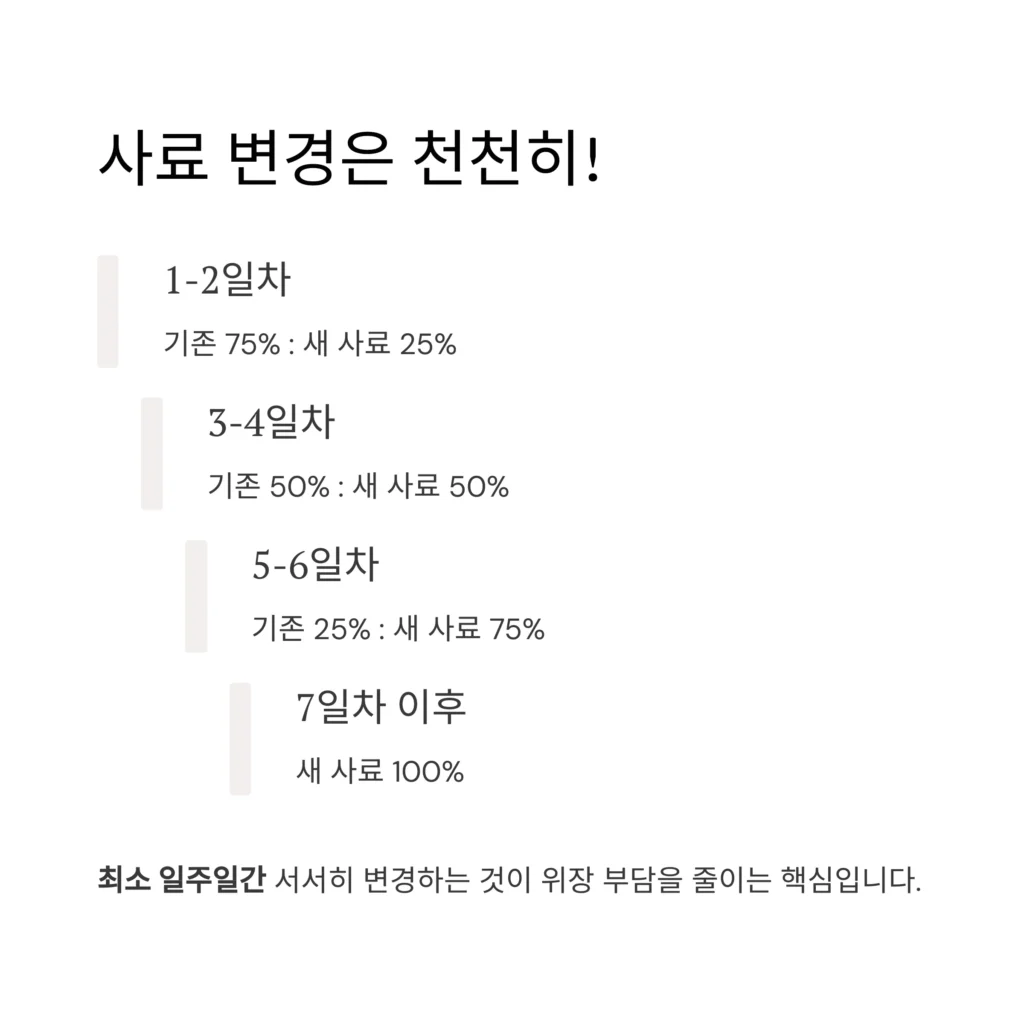 강아지-구토