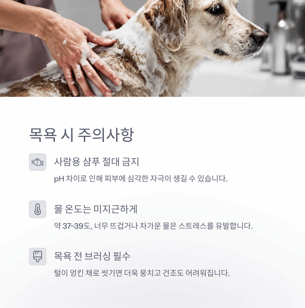 강아지-목욕
