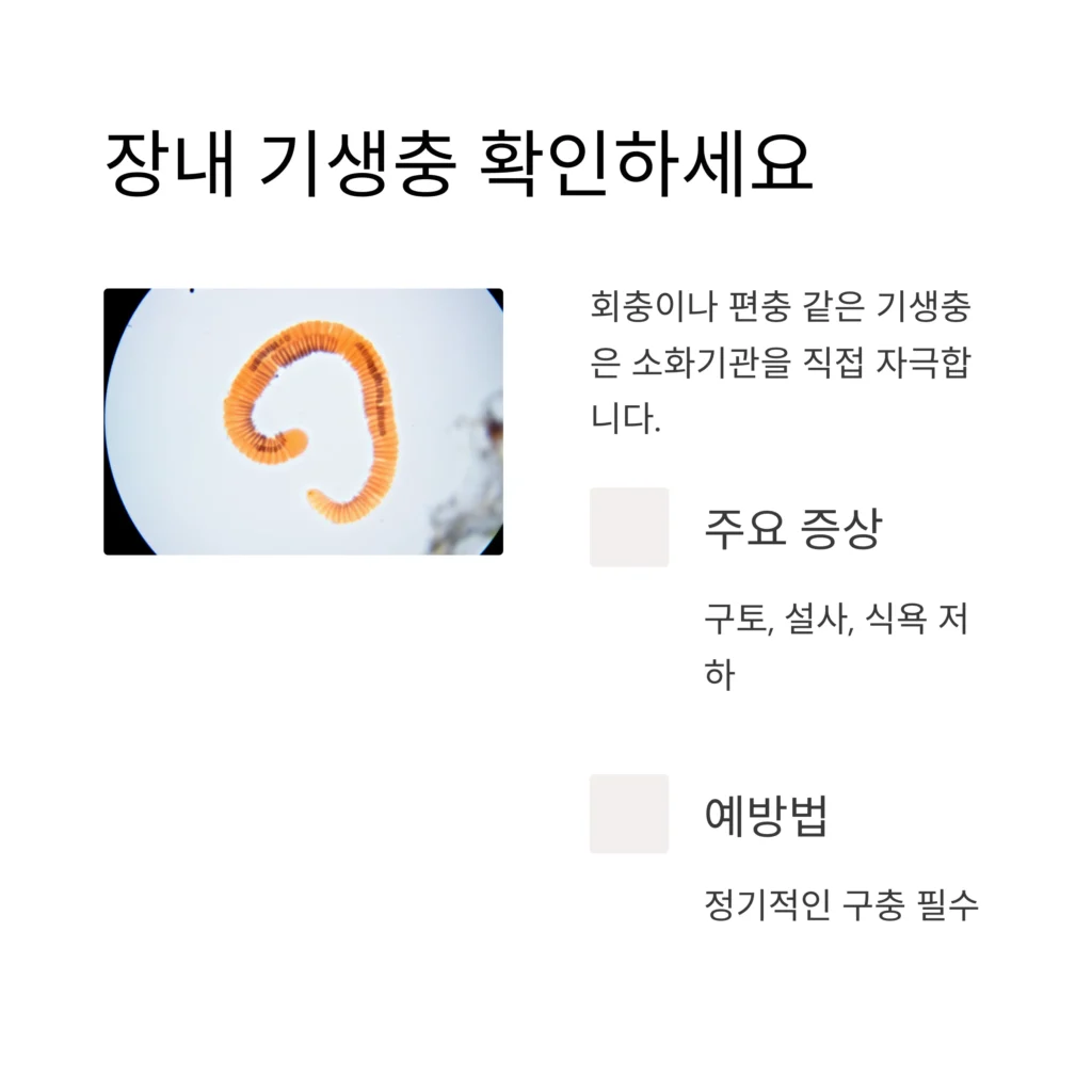 강아지-구토