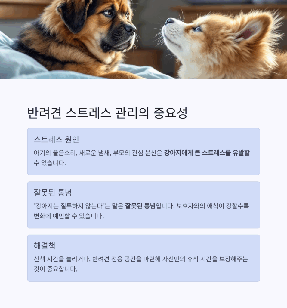 반려견 스트레스 관리