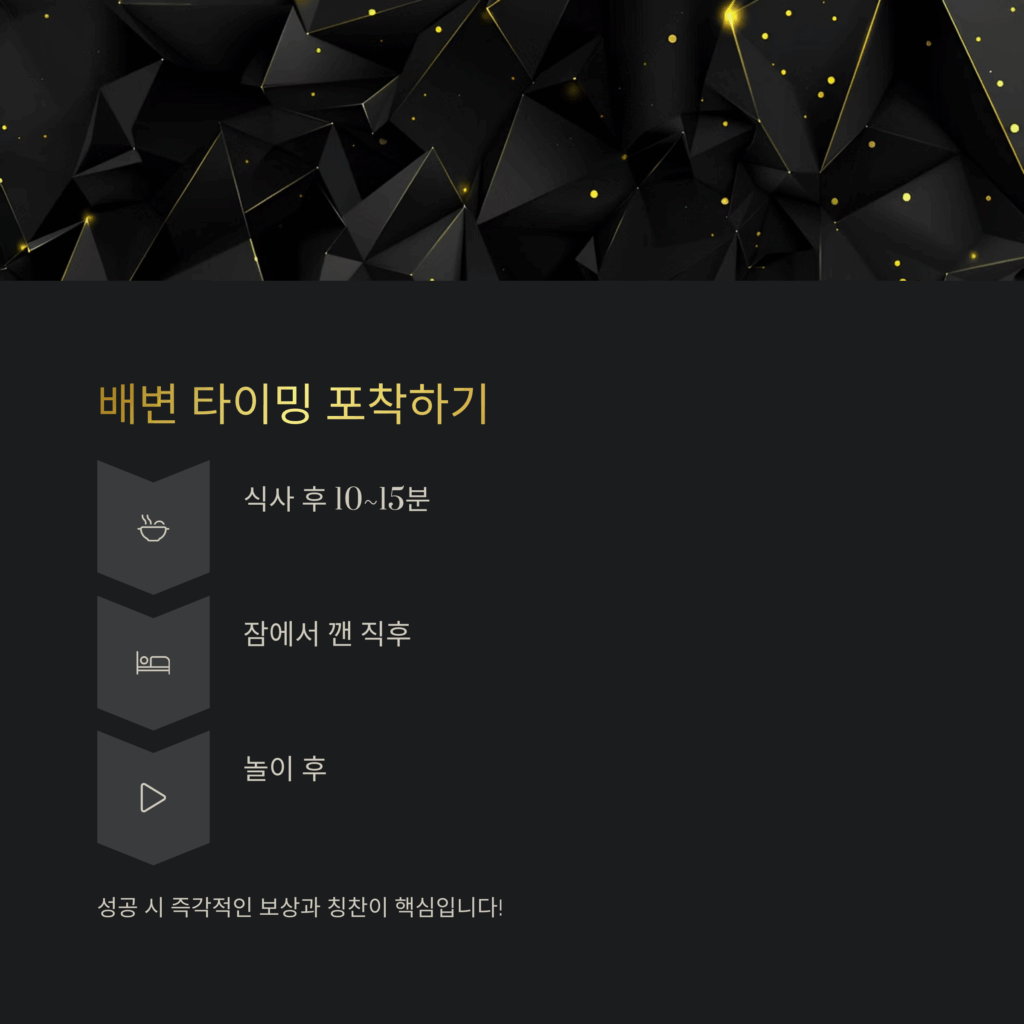 강아지 배변훈련