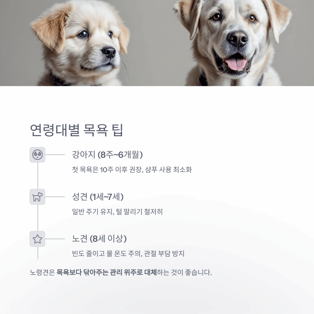 강아지-목욕