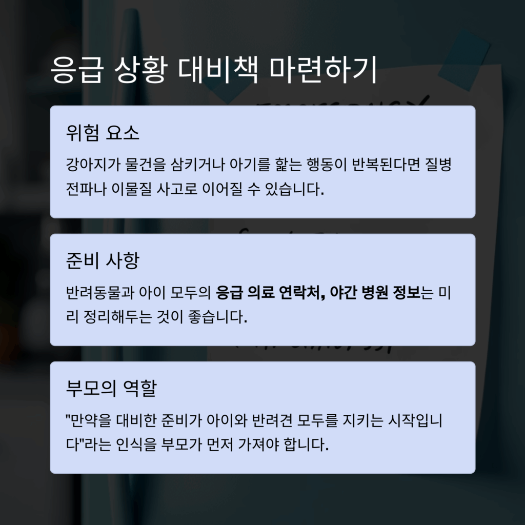 응급 상황 대비책