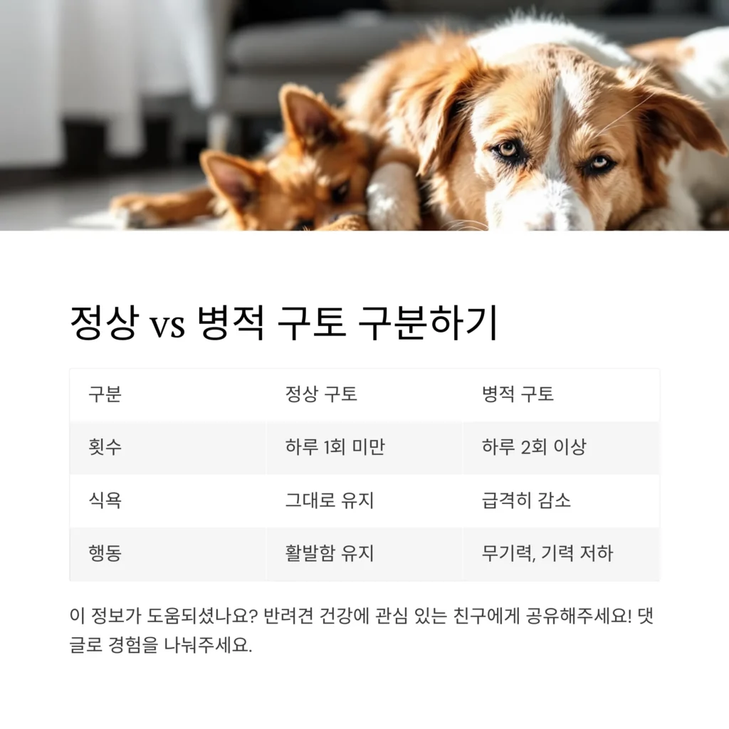 강아지-구토