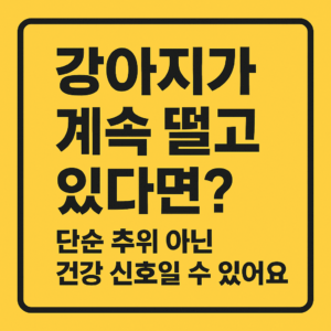 강아지-건강이상-신호