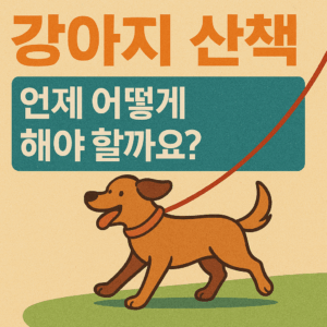 강아지-산책