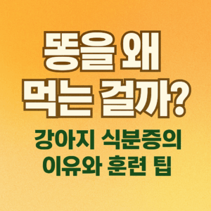 식분증